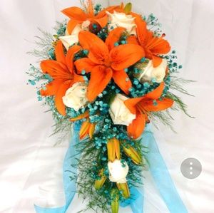 Meet your Posher, Phyllis